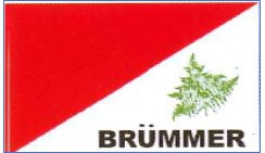 huis brummer